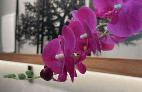 Internacional Residence Benjamin Vista mar - Foto 14