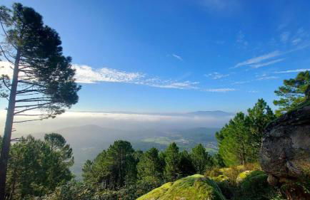 Casa Ypsilon Olive Oil - Photo 25