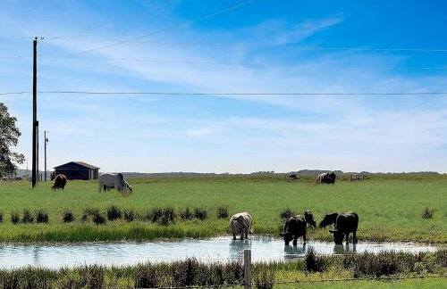 Henbest Hideaway Cabin Boston mountains -Millcreek - Foto 23