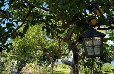 Depandance Casa Paolina - Foto 7