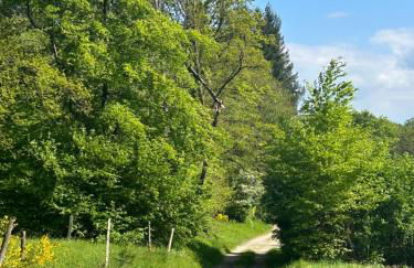 Gîte la Chenevière - Foto 26