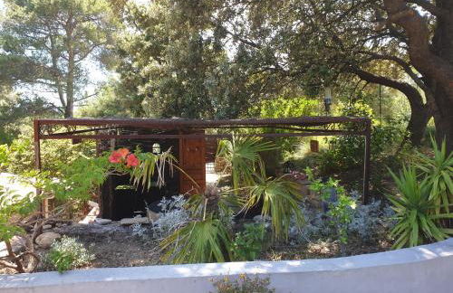 Gîte dans Mas provençal ,havre de paix - Foto 11