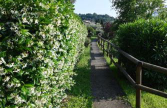 Open space fronte lago - Foto 13