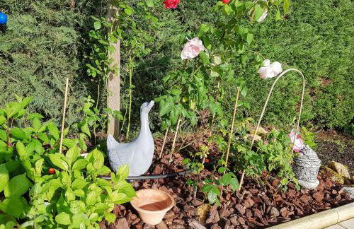 Family Home in Carsac-Aillac - Foto 42