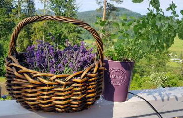 Apartamenty Lavender Hill - Foto 32