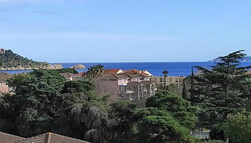 VUE MER- BEAU STUDIO - TERRASSE ABRITEE - Wi-Fi - CLIMATISATION - PARKING GRATUIT-Classé 3 étoiles - Foto 3