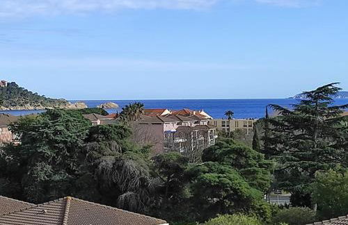 VUE MER- BEAU STUDIO - TERRASSE ABRITEE - Wi-Fi - CLIMATISATION - PARKING GRATUIT-Classé 3 étoiles - Foto 3