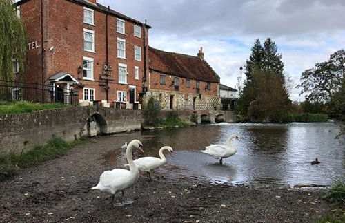 Residential 3 bed house Harnham - Foto 28