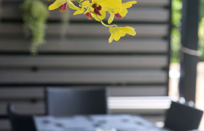 White Flower Lanta - Foto 80