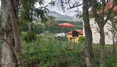 La Maria Diego - Foto 4