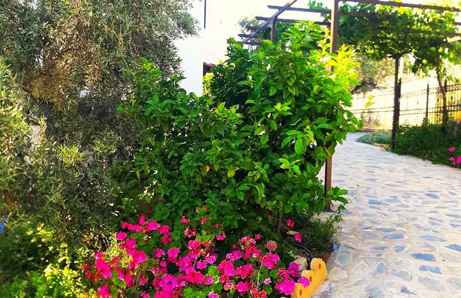 Villa Leonidas GreeceFiloxenia - Photo 66