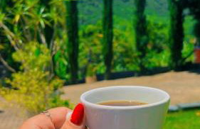 Chalé cipreste 4 Quartos - Foto 22