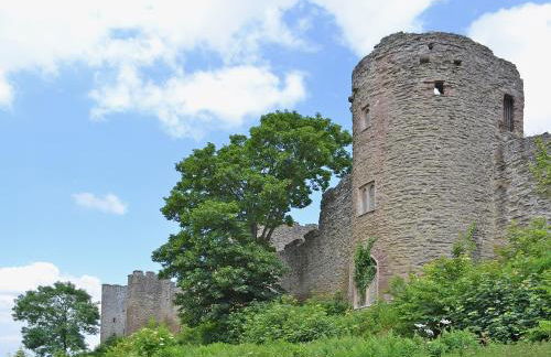 Titchbourne Cottage - Foto 21