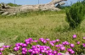 Agriturismo bio Verde Armonia - Photo 21