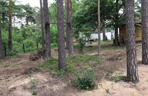 FEWO PARTNERS Haus Clemens - Gemütliches Holzhaus mit Grundstück nahe Badesee - Photo 24