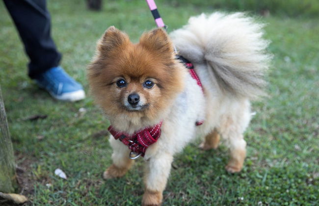 Reflections Nambucca Heads - Holiday Park - Foto 28