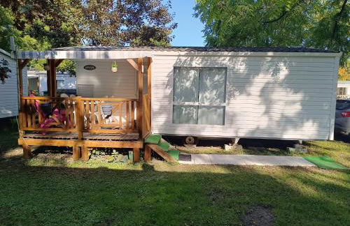 Le Guiness proche Europa Park et Rulantica - Foto 5