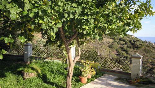 Appartamenti Con Vista Panoramica - Foto 3