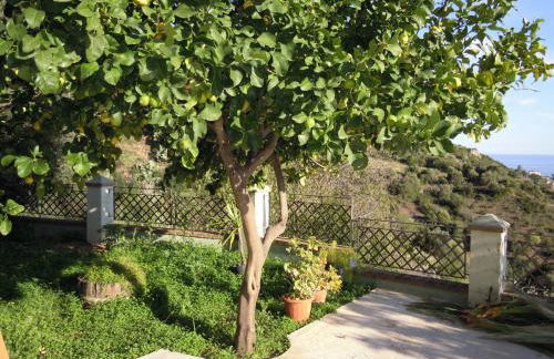 Appartamenti Con Vista Panoramica - Foto 3