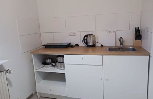 Adasflats Goose - Foto 8
