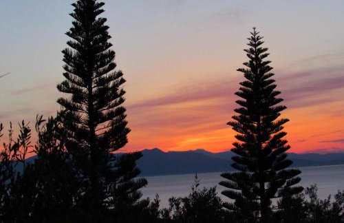 Kallisto studios - Foto 42