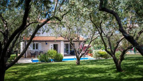 Casa di Oliva - Foto 3, Garden, Garden view