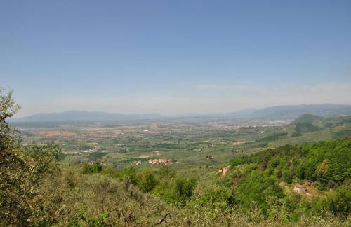 Podere Calistri - Foto 34