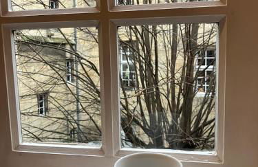 Le clos du Tilleul - charme en hyper centre - Photo 23