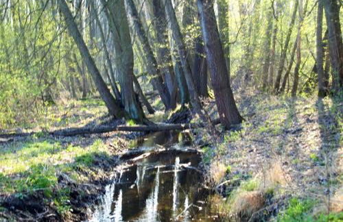 Altes Forsthaus Garzau - Foto 42