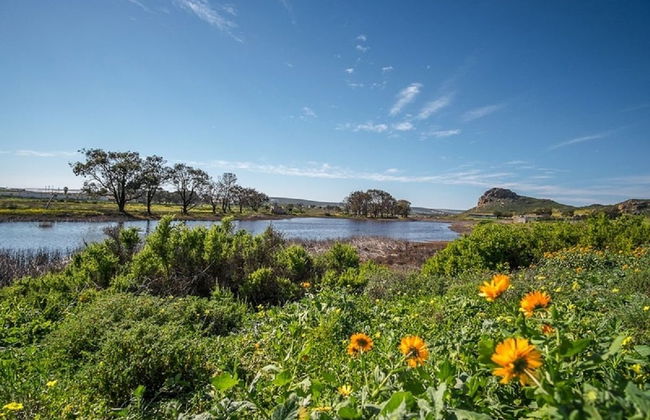 Fork West Apartments - Ground Floor 4 - Foto 25