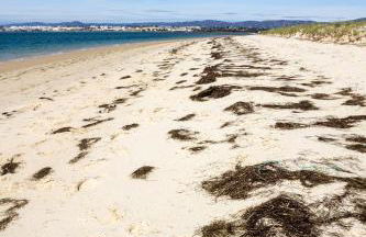 Condomínio Ondas do Mar -Coastal Comfort- - Foto 30