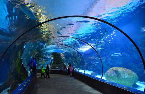 Cozy 5 BD house near Blackstone and UNMC - Foto 45