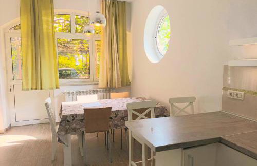 Jane's Garden - Foto 7