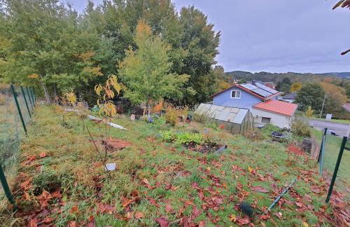 Holzhaus Chalet Nationalpark Eifel Hund willkommen - Foto 28