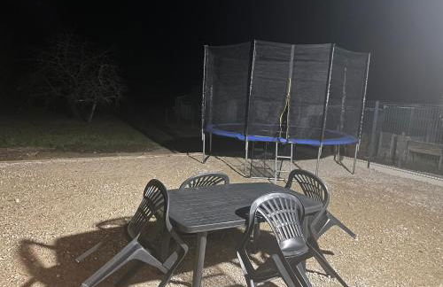 Les oiseaux du paradis - Foto 10