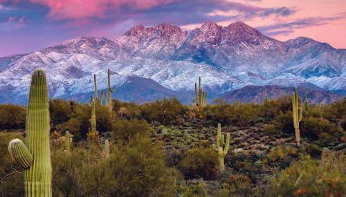 Rio Rancho Verde Two Bedroom Suite - Foto 4