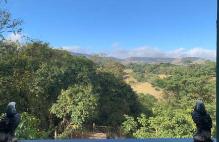 House with Jacuzzi near São Paulo - Photo 46