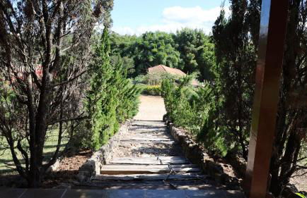 Haras Santa Amalia - Nova União MG - Foto 37