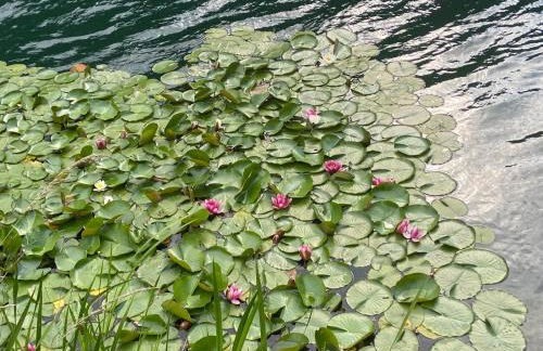 Casa Bosco - Photo 40