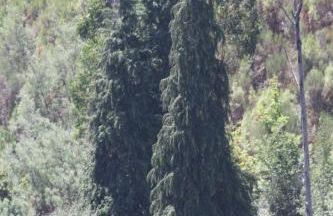 Retiro Da Arminda - Foto 71