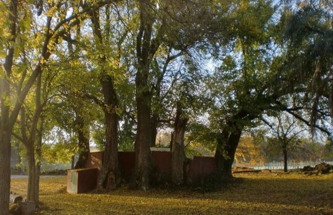 Apartment in Montilla Near Palacio Medinaceli - Foto 36