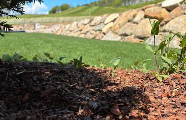 Arnica Alpin Lodge - Foto 9