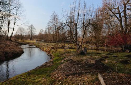 Małe Mazury- domek z łowiskiem - Photo 10
