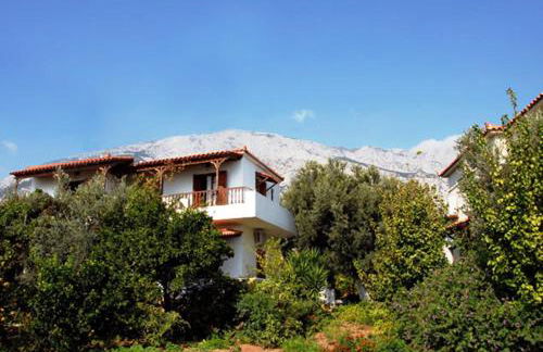 Tiki Rooms - Foto 26