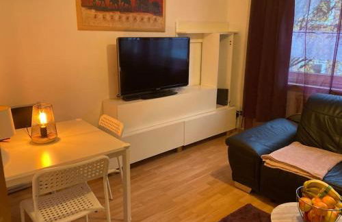 Apartment am Rhein ganze Wohnung NETFLIX Internet 1000 Mbits, free Parking - Foto 3