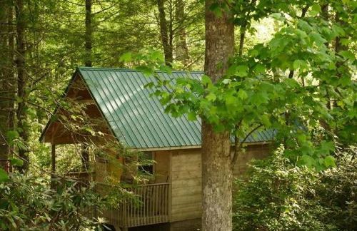 Holly Nest a Cozy Cabin Getaway near Gatlinburg - Photo 1