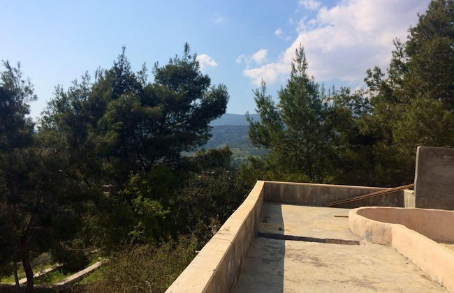 Dibeen Eco Farm House - Foto 32