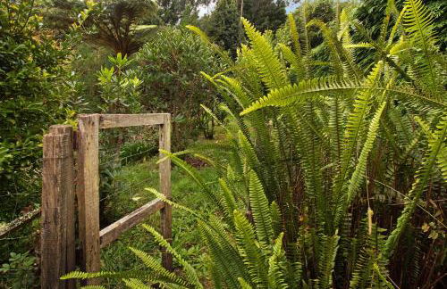 Casa Catarina - Foto 21