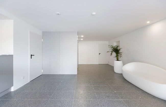 Modern Studio @ Palácio de Cristal - Foto 28