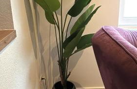 Nense Cottage - Foto 9